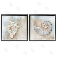 Audrey Jeanne Roberts | Conch & Nautilus Ocean's Edge