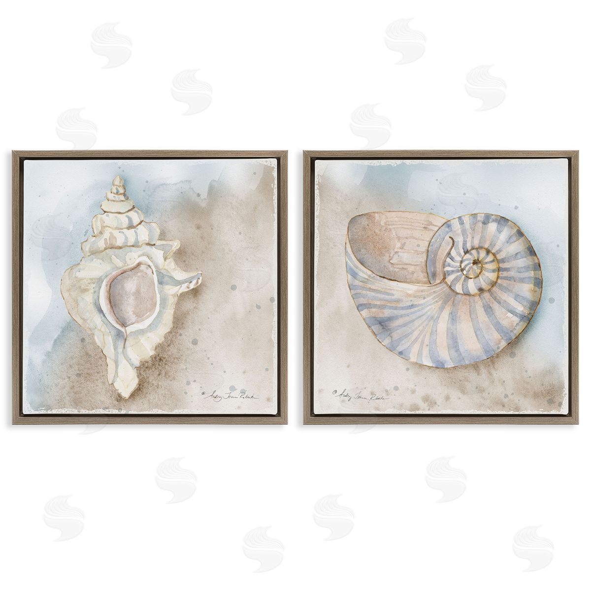 Audrey Jeanne Roberts Conch & Nautilus Ocean's Edge Canvas Wall Art Print