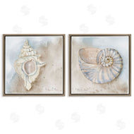 Audrey Jeanne Roberts | Conch & Nautilus Ocean's Edge