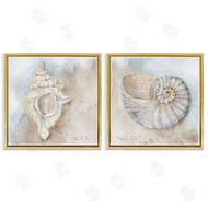 Audrey Jeanne Roberts | Conch & Nautilus Ocean's Edge