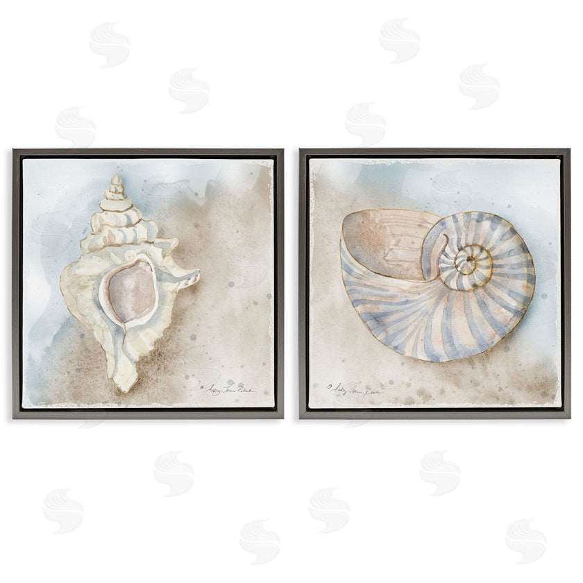 Audrey Jeanne Roberts | Conch & Nautilus Ocean's Edge