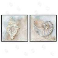 Audrey Jeanne Roberts | Conch & Nautilus Ocean's Edge