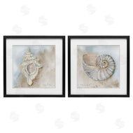 Audrey Jeanne Roberts | Conch & Nautilus Ocean's Edge