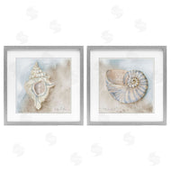 Audrey Jeanne Roberts | Conch & Nautilus Ocean's Edge