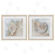 Audrey Jeanne Roberts | Conch & Nautilus Ocean's Edge
