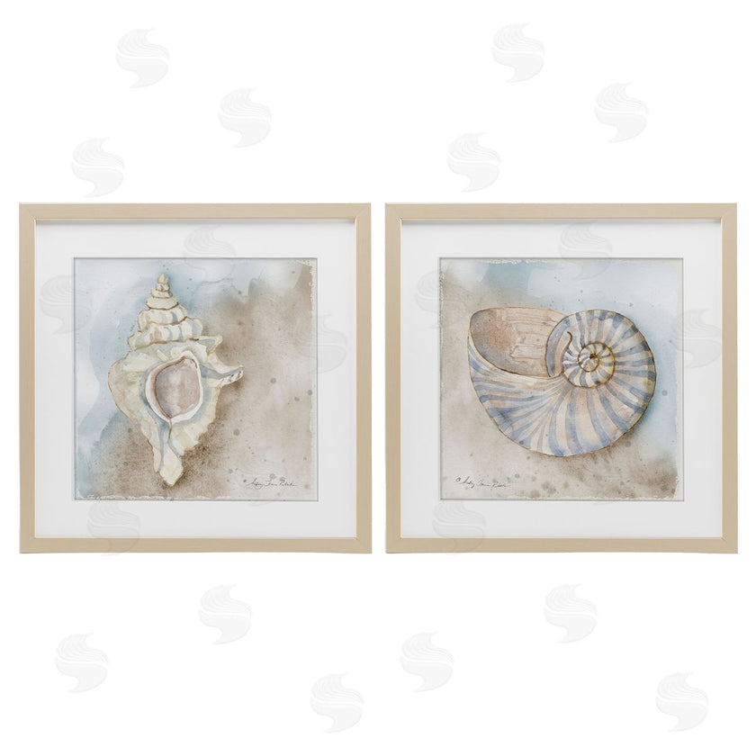Audrey Jeanne Roberts | Conch & Nautilus Ocean's Edge