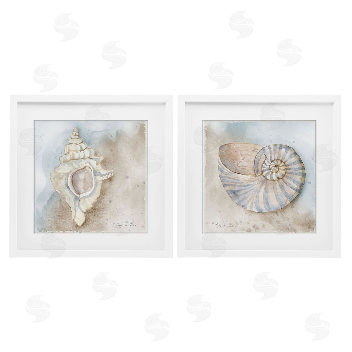 Audrey Jeanne Roberts Conch & Nautilus Ocean's Edge Canvas Wall Art Print
