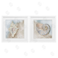 Audrey Jeanne Roberts | Conch & Nautilus Ocean's Edge