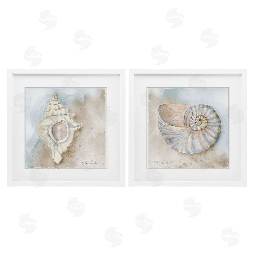 Audrey Jeanne Roberts | Conch & Nautilus Ocean's Edge