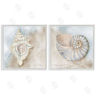 Audrey Jeanne Roberts | Conch & Nautilus Ocean's Edge