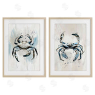 Ramona Murdock | Kingdom Of Crabs Illustrations