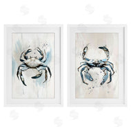Ramona Murdock | Kingdom Of Crabs Illustrations