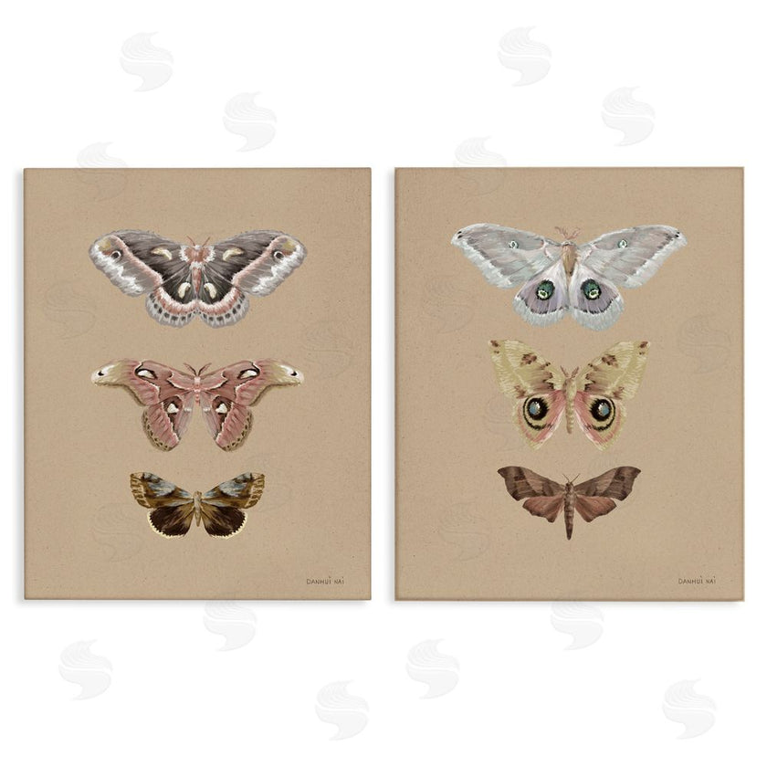 Danhui Nai | Forest Beauty Insects