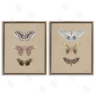 Danhui Nai | Forest Beauty Insects