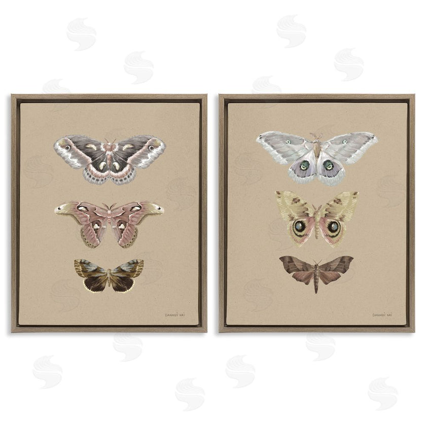 Danhui Nai | Forest Beauty Insects
