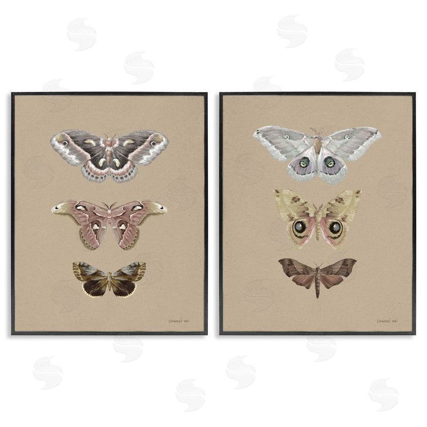 Danhui Nai | Forest Beauty Insects