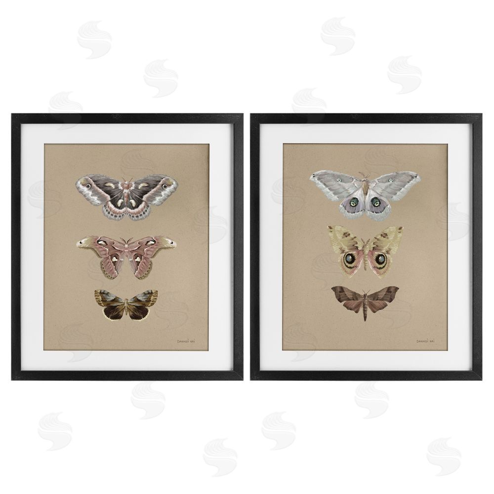 Danhui Nai Forest Beauty Insects Black Framed Print Under Glass Set