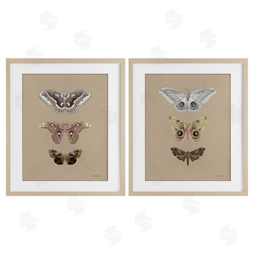 Danhui Nai Forest Beauty Insects Birch Framed Print Under Glass Set