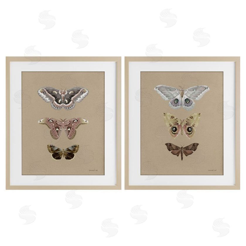 Danhui Nai | Forest Beauty Insects
