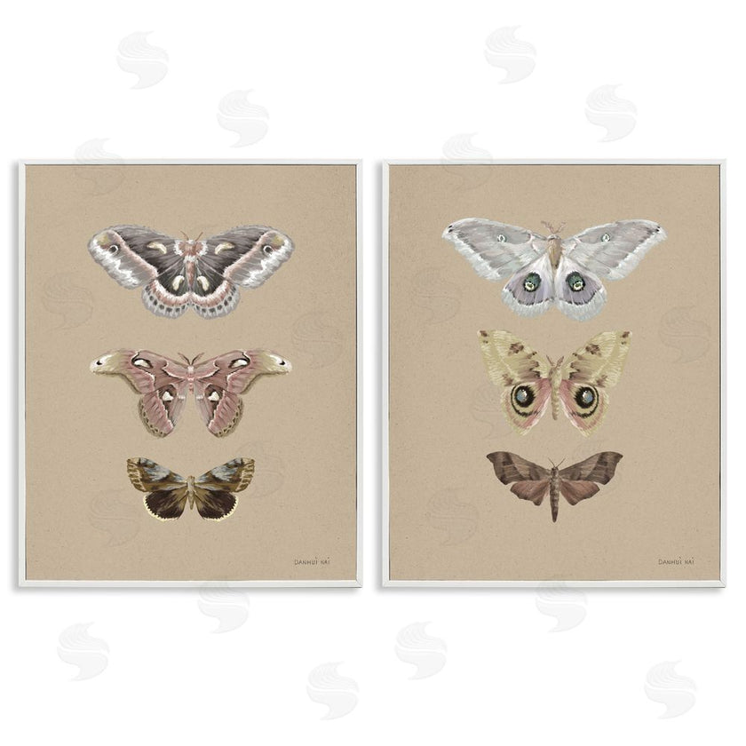 Danhui Nai | Forest Beauty Insects