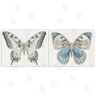 Danhui Nai | Blue Accented Butterflies