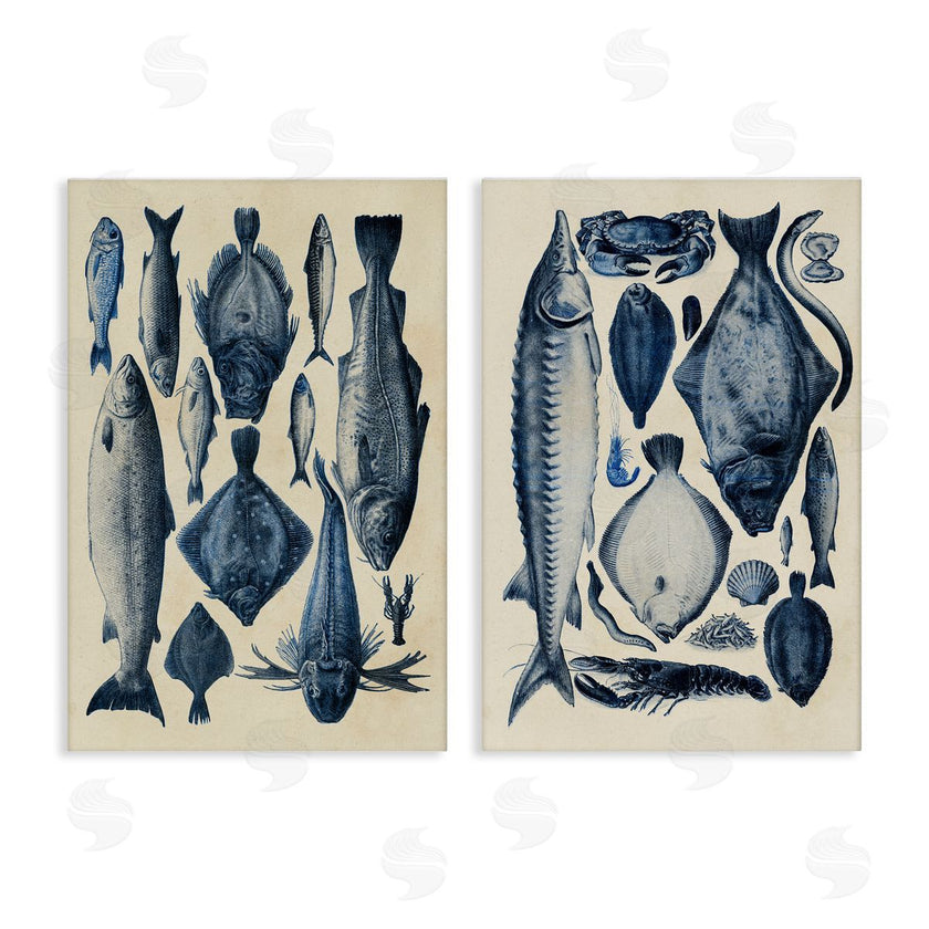 Alicia Longley | Various Vintage Blue Fish Chart