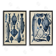Alicia Longley | Various Vintage Blue Fish Chart