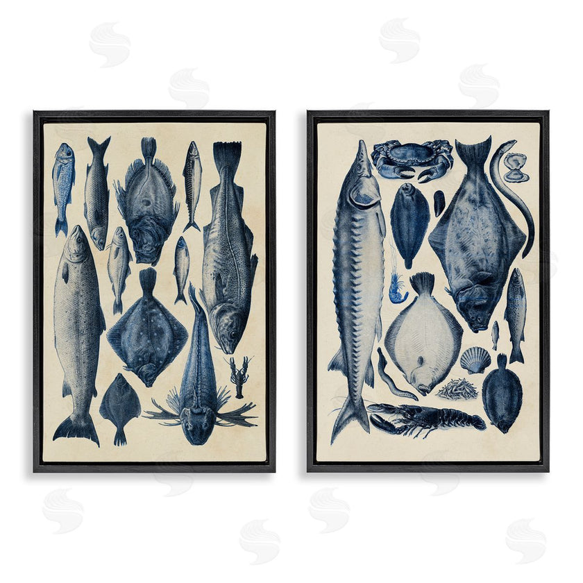 Alicia Longley | Various Vintage Blue Fish Chart