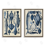 Alicia Longley | Various Vintage Blue Fish Chart