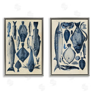 Alicia Longley | Various Vintage Blue Fish Chart
