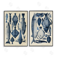 Alicia Longley | Various Vintage Blue Fish Chart