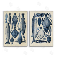 Alicia Longley | Various Vintage Blue Fish Chart