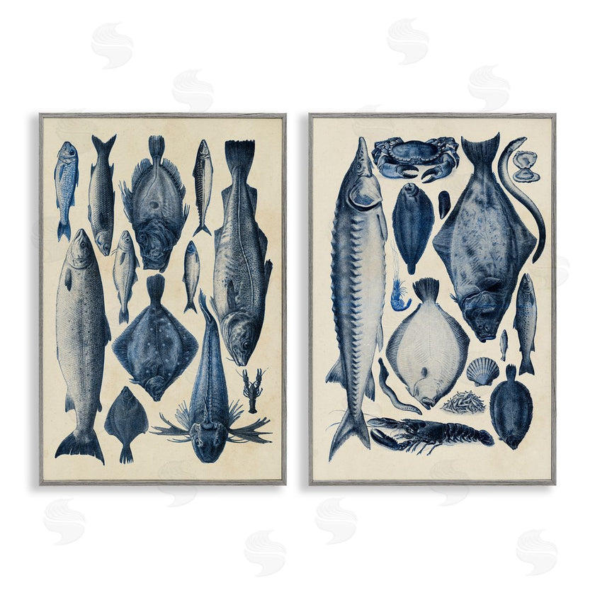 Alicia Longley | Various Vintage Blue Fish Chart