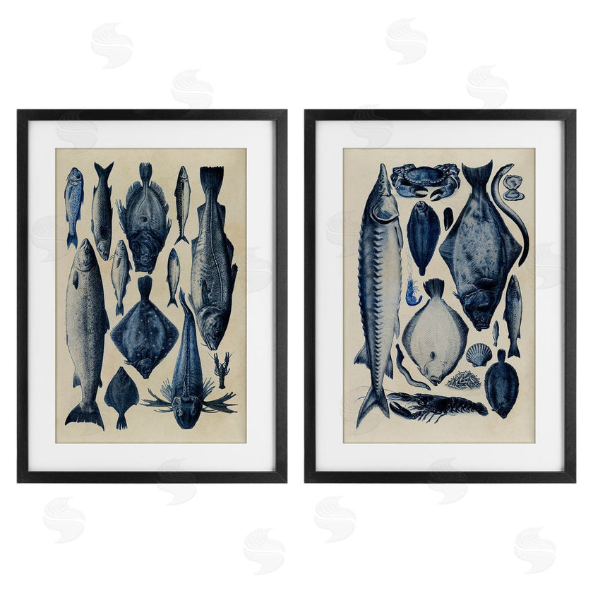 Alicia Longley | Various Vintage Blue Fish Chart