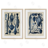 Alicia Longley | Various Vintage Blue Fish Chart