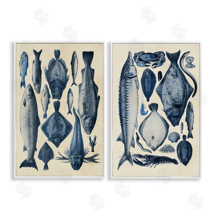 Alicia Longley | Various Vintage Blue Fish Chart
