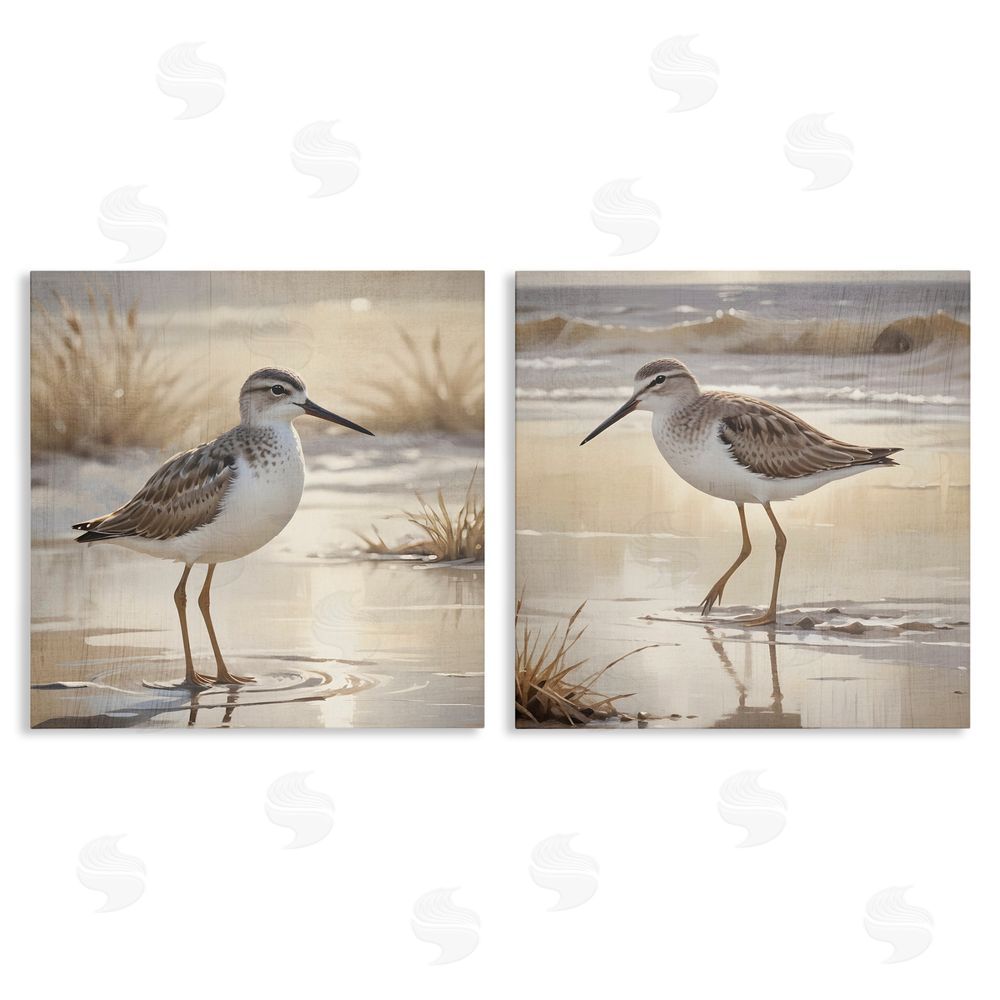 Susan Arnot Sunlit Sandpipers Wading Shore Canvas Wall Art Set