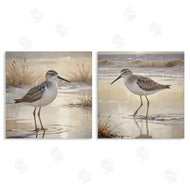 Susan Arnot | Sunlit Sandpipers Wading Shore