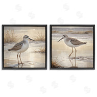 Susan Arnot | Sunlit Sandpipers Wading Shore