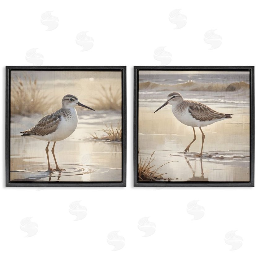 Susan Arnot | Sunlit Sandpipers Wading Shore