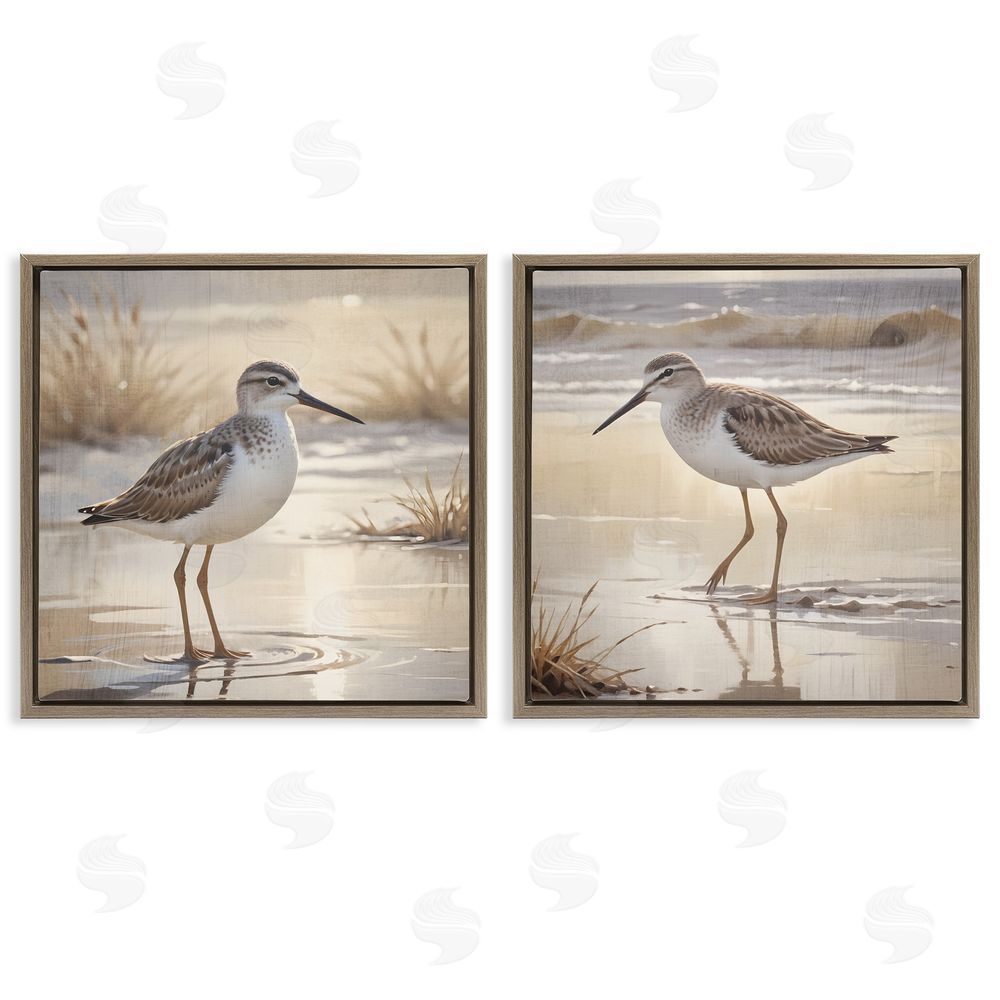 Susan Arnot Sunlit Sandpipers Wading Shore Brown Floating Frame Canvas Art Set