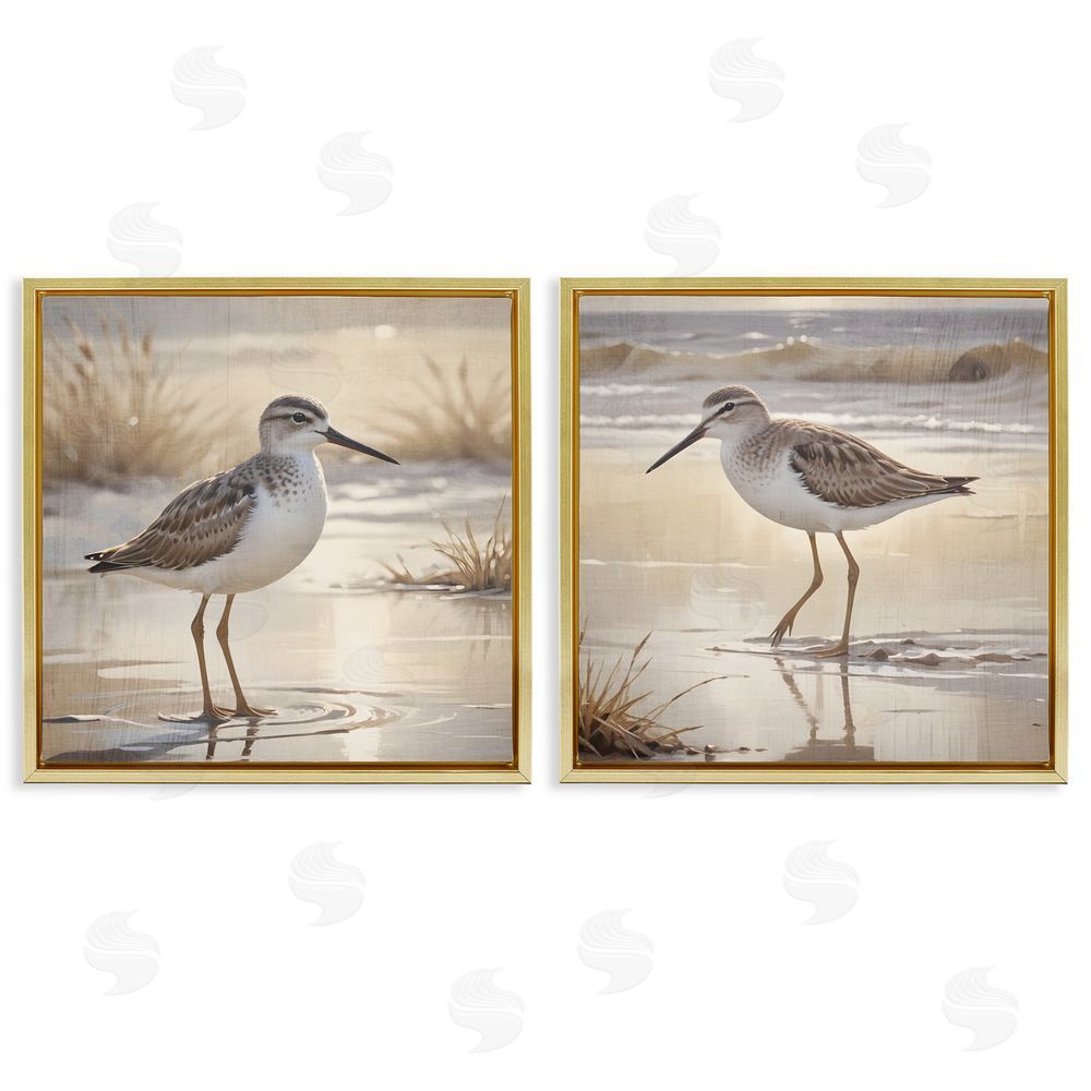 Susan Arnot Sunlit Sandpipers Wading Shore Gold Floating Frame Canvas Art Set