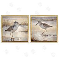 Susan Arnot | Sunlit Sandpipers Wading Shore