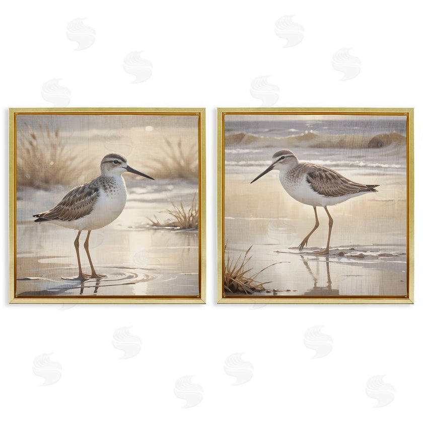 Susan Arnot | Sunlit Sandpipers Wading Shore