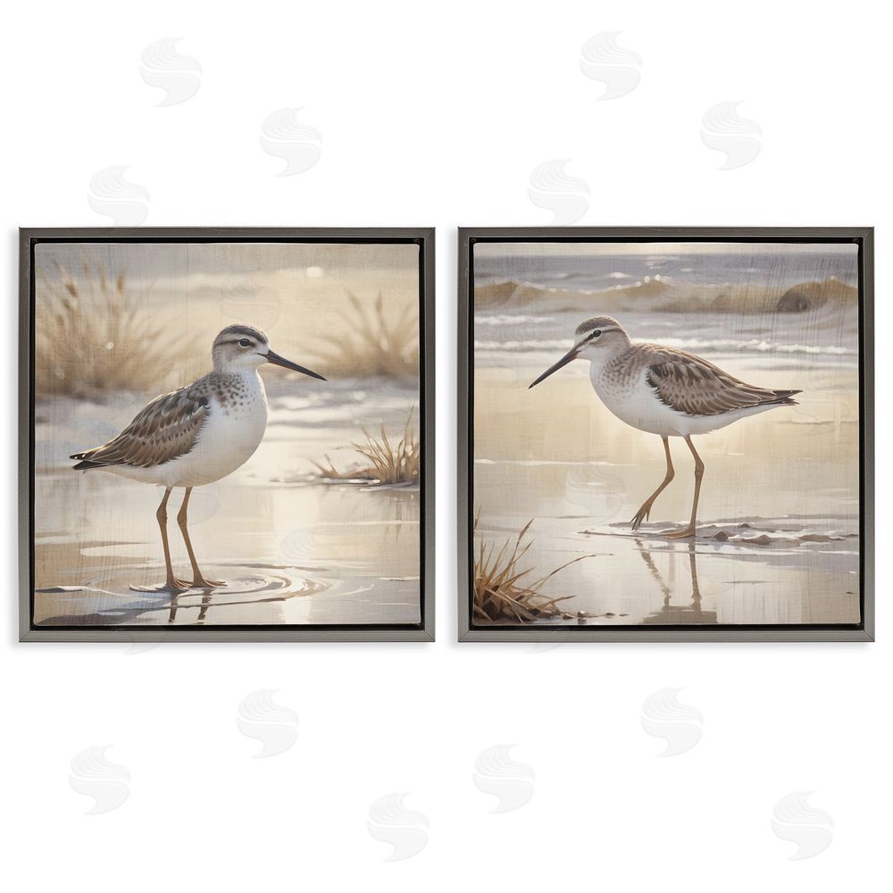 Susan Arnot Sunlit Sandpipers Wading Shore Gray Floating Frame Canvas Art Set