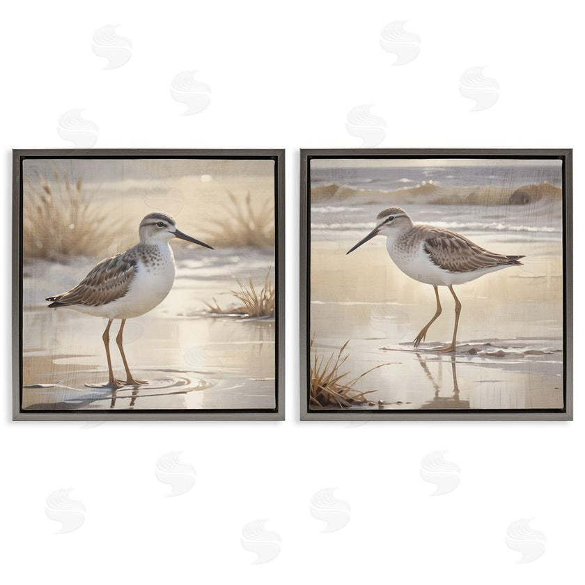 Susan Arnot | Sunlit Sandpipers Wading Shore