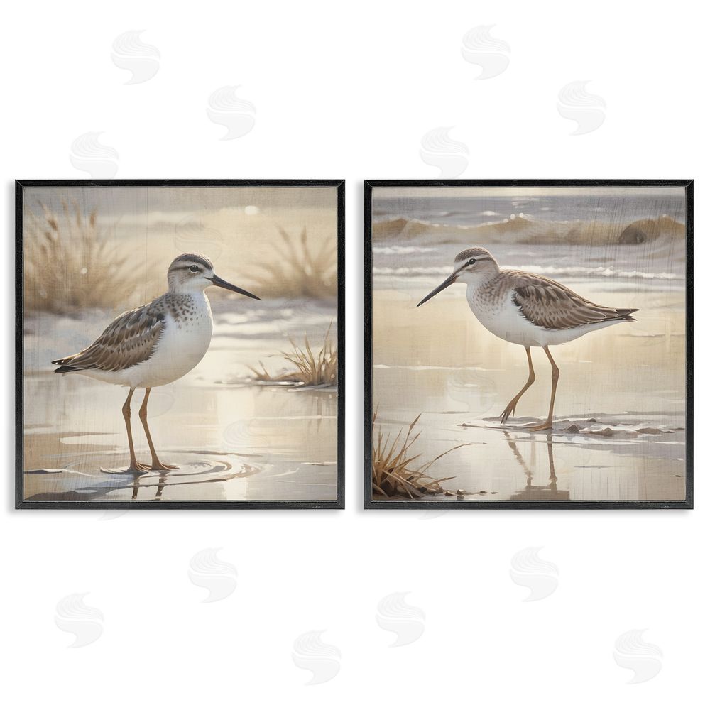 Susan Arnot Sunlit Sandpipers Wading Shore Black Framed Giclee Art Set