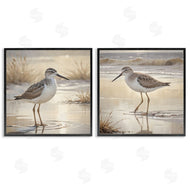 Susan Arnot | Sunlit Sandpipers Wading Shore