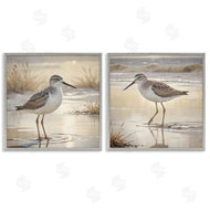 Susan Arnot | Sunlit Sandpipers Wading Shore