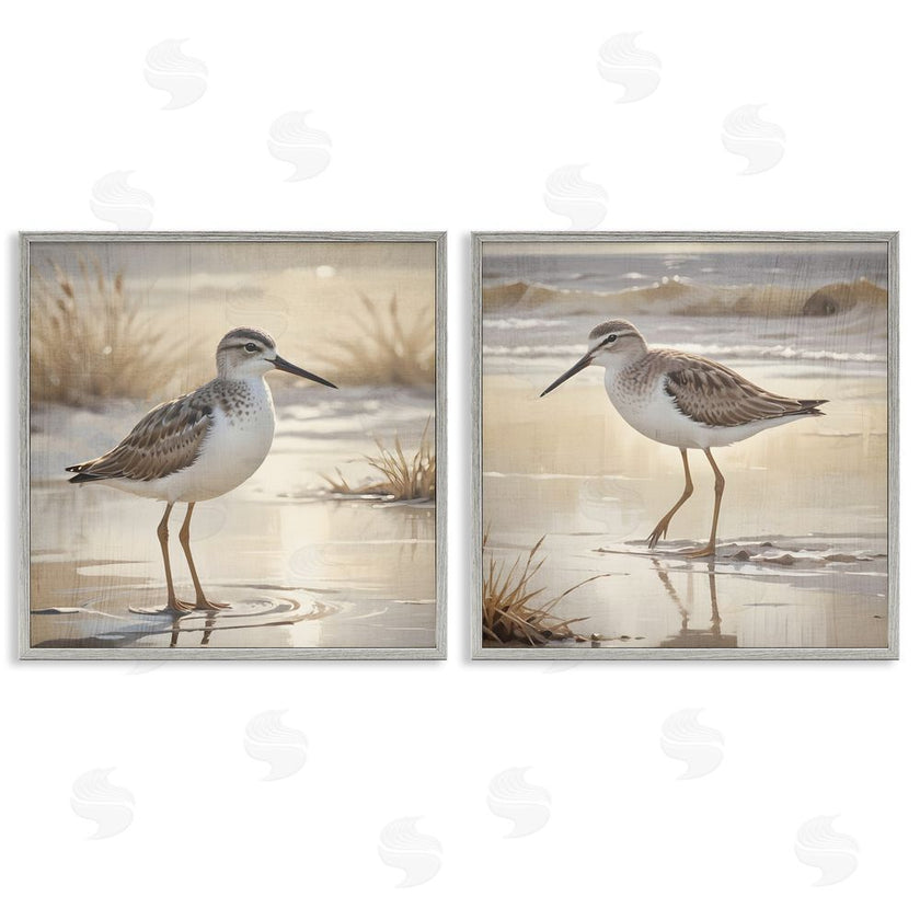 Susan Arnot | Sunlit Sandpipers Wading Shore